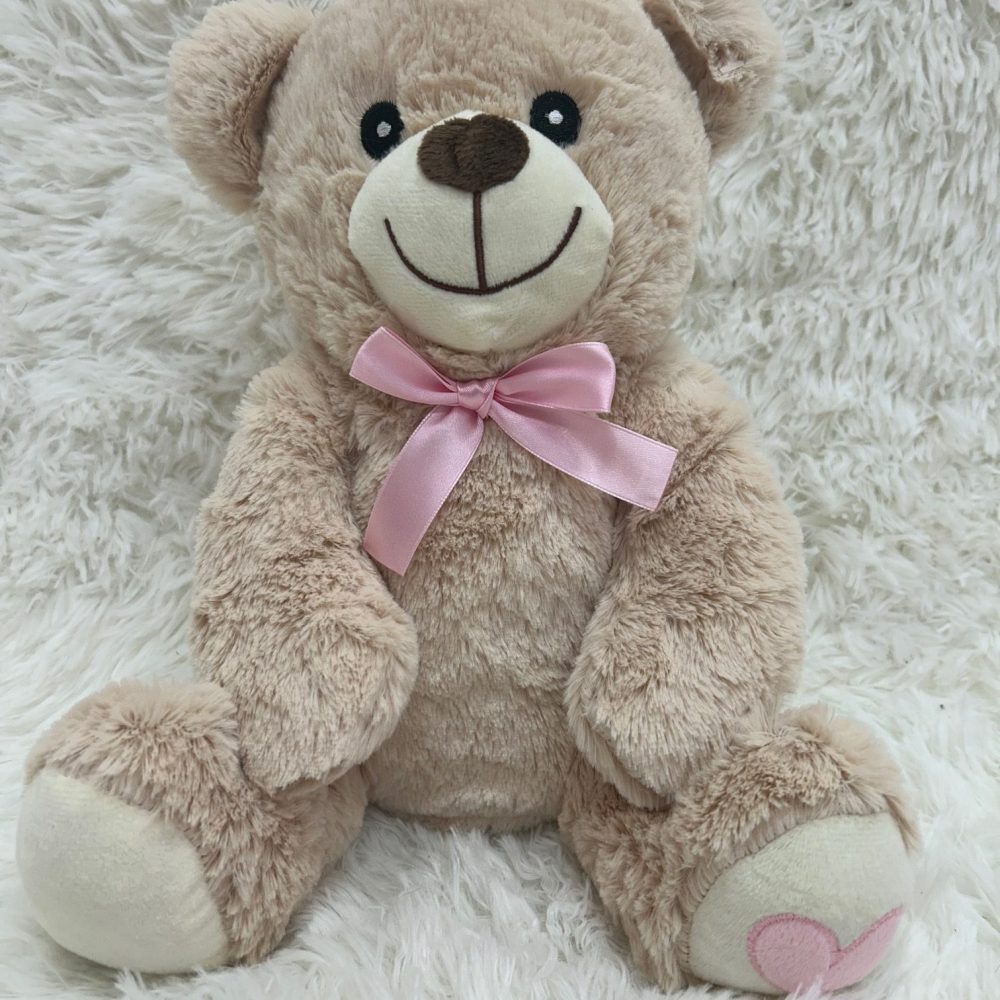 Teddy With Pink Heart & Ribbon