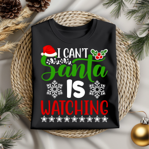 DTF I Can't Santa Is Watching