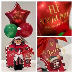 Elf Return House Kit