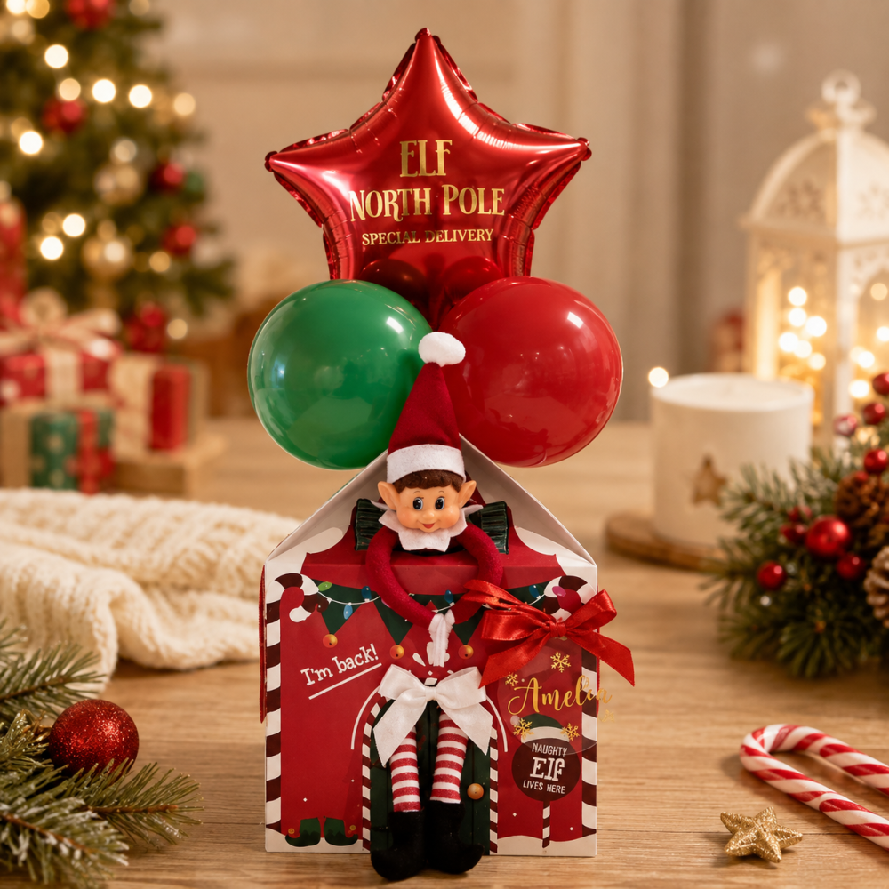 PRE ORDER Elf Return House Kit